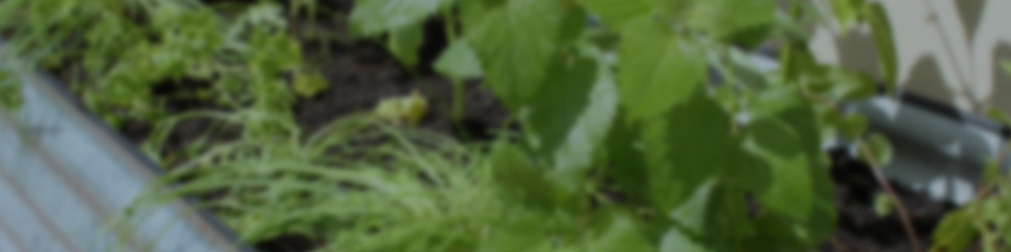 Howtogrow Kingspan Tankworks Garden Beds