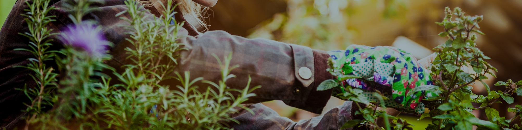 Contact Us Garden Beds By Kingspan Tankworks