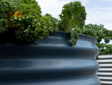 5 tips to create a raised garden bed